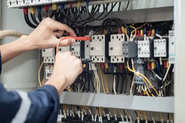 Descripción de la imagen