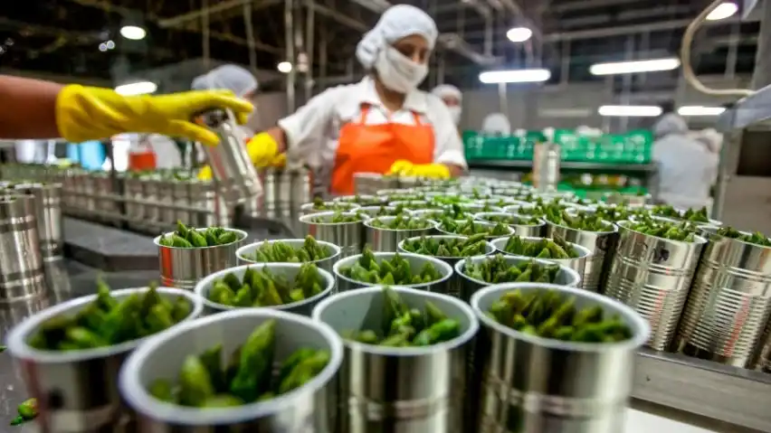 importacion en sector agroindustrias