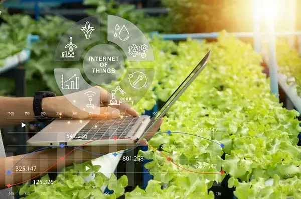 Por qué es importante la automatización sostenible