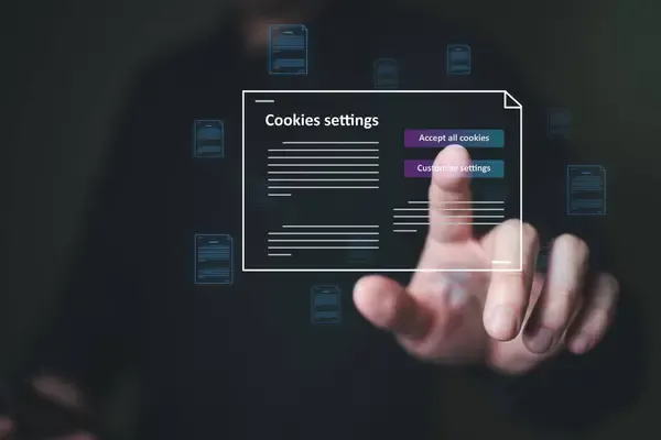 Cookies en internet en la navegación digital